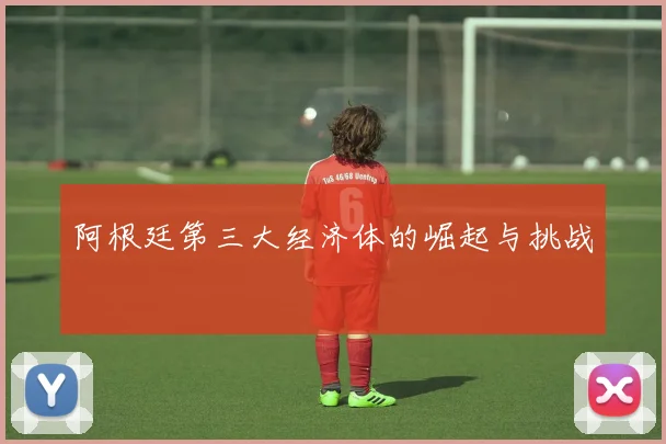 阿根廷第三大经济体的崛起与挑战